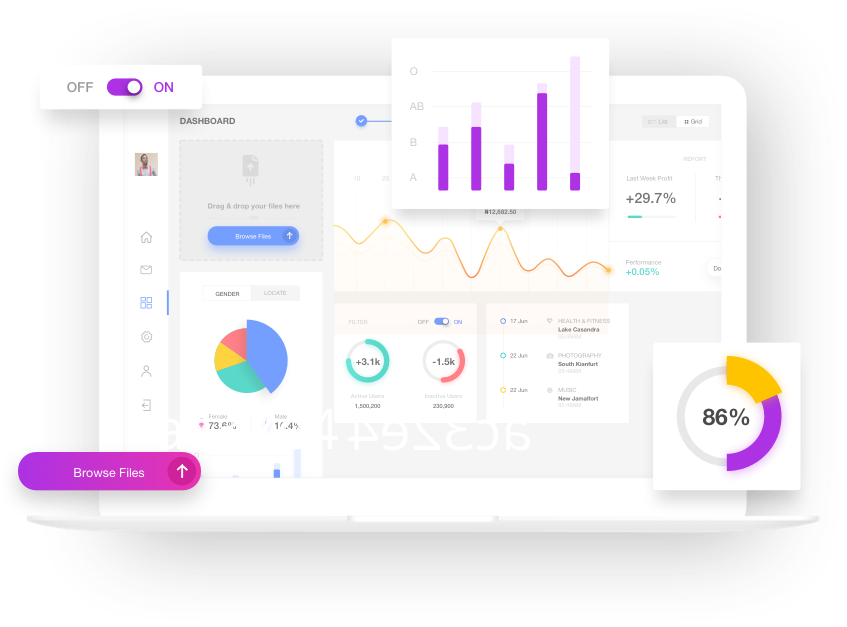 Web App Interface